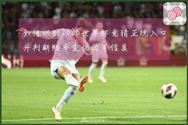 如何识别2026世界杯竞猜正规入口并判断赔率变化的可信度