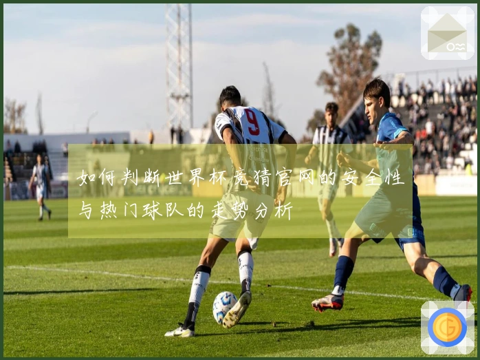 如何判断世界杯竞猜官网的安全性与热门球队的走势分析