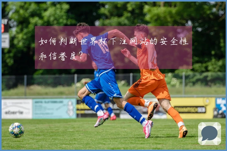 如何判断世界杯下注网站的安全性和信誉度？