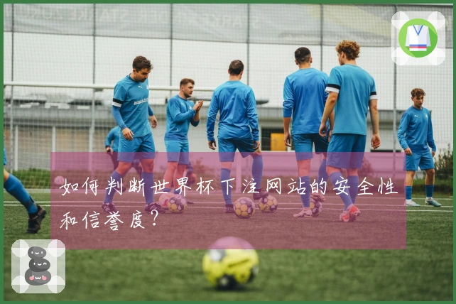 如何判断世界杯下注网站的安全性和信誉度？
